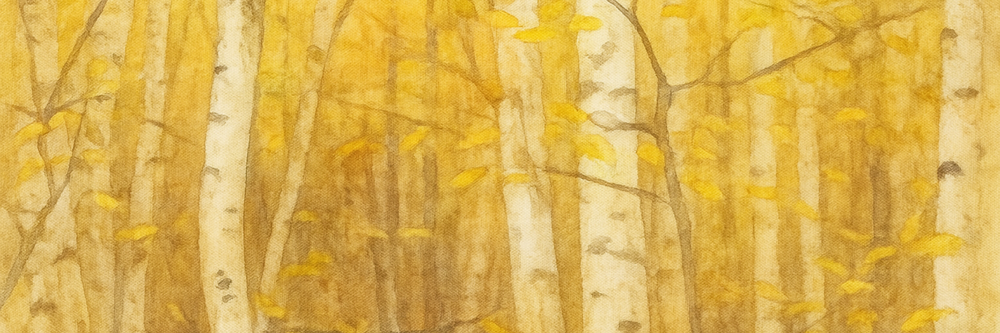 Aspen Collection