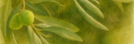 Olive Collection