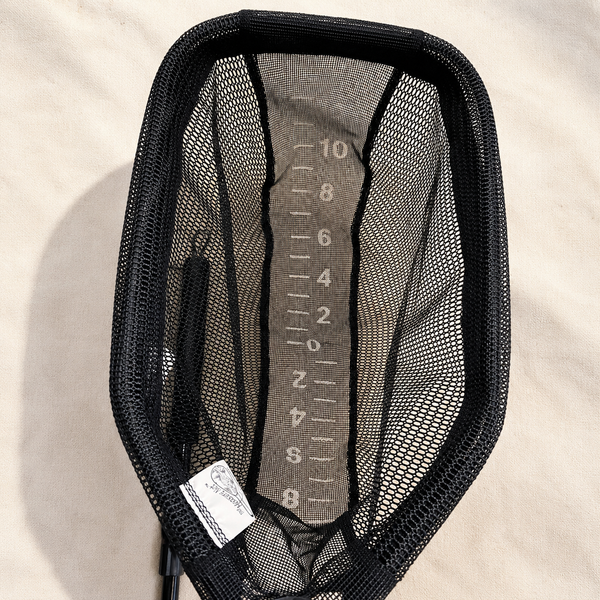 Large Measure Net