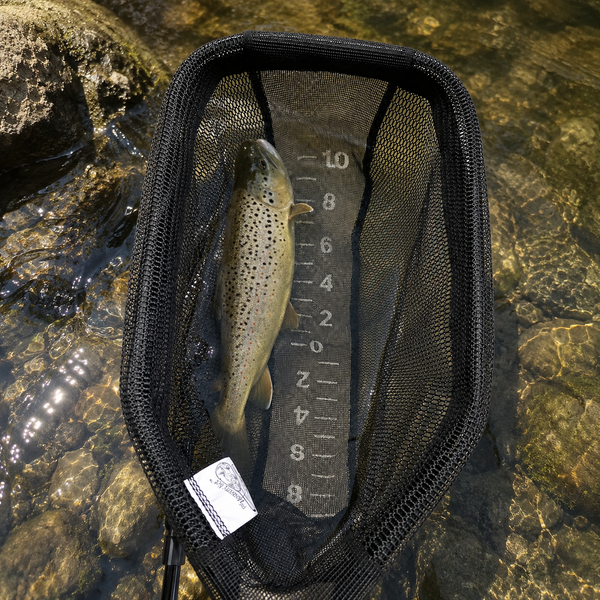 Large Measure Net